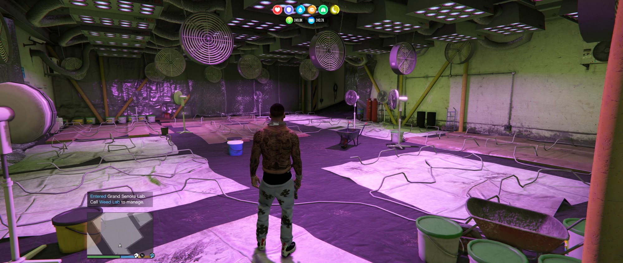 The Trap Star — inside the grow